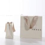 Custom Ribbon Handle Boutique Shopping Paper Bags