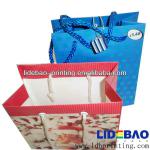 Shopping Paper bag wholesale