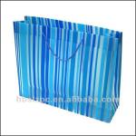 T-shirt plastic shopping bag/Plastic shopping retail bags/Printed plastic shopping bags
