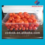 PET clear plastic frozen food tray