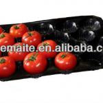 Different Sizes/For Food/Nested Plastic Tray