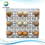 Plastic Egg Tray