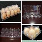 Clear PET plastic egg trays for sale