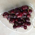 fresh Cherry storge container