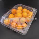 PET disposable plastic fruit Tray