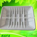 Eco-friendly Cornstarch Disposable Fruit Tray