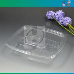 Transparent Disposable Plastic Lunch Box