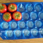39x59cm PP Fruit Plastic Tray