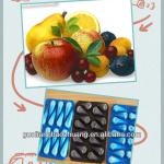 China Suplier/SGS/Corlorful/Compartment Disposable Plastic Food Tray
