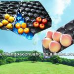China Suplier/SGS/for fruit/ disposable trays