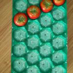 China/Many Sizes Nested Plastic Fruit Trays