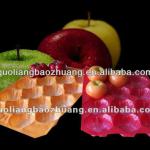 China Gold Supplier PP Fruit Trays