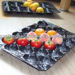 Plastic Packaging Containers