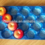 Made in China PP Blister Food Tray