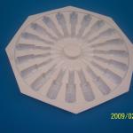 blister white comestics packaging tray