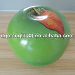 Fruit Shape Tin Box