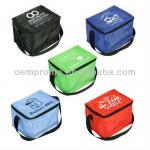 Fashion cooler Bag freezer cooler bags