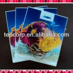 Printed Patch Handle Pastic Bags