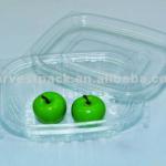 Harvest Transparant Salad Container HB-08