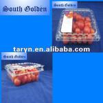 Plastic Fruits Clamshell