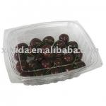 Plastic Fruit storage Containers