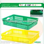 plastic trays for vegetables and fruits