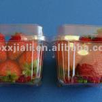 HZ1003 strawberry punnet