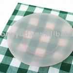 Plastic Plate