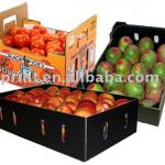 fruit container(fruit packing,fruit packaging box)