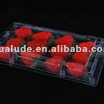 Plastic Box for Fruits