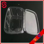 Square plastic fruit salad container