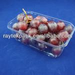 plastic tray for fruit and vegetable