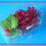 Plastic blister packaging for fruit tray