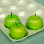 49*30cm PS (polystyrene) fruit packing tray