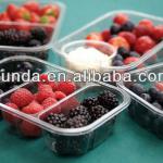 Fruit punnet