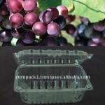 grape punnet