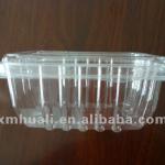 250g plastic blister clear fruit container
