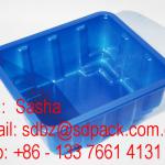 clamshell fruit packaging PET fruit clamshell box plastic fruit box