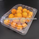 new design PET disposable plastic fruit container for supermarket