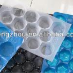 PP Disposable Plastic Container