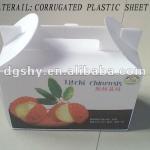 custom eco-friendly fresh fruit corrugated box packaging,coroplast folding box
