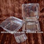 clear plastic food packaging box
