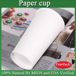 2013 paper cup