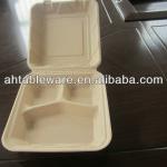 sugarcane disposable biodegradable clamshell