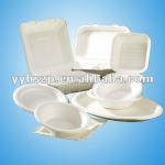 biodegradable disposable dinnerware