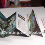 foldable cheap single page leaflet with customized