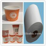 Double Side PE coated paper/Drenched Film Paper in roll
