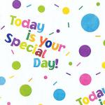 SPECIAL DAY Recycled Tissue 240~20&quot;x30&quot; Sheets Tissue Prints