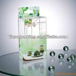 2013 beautiful printing promotional plastic foldable box