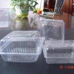 GH 5 transparent plastic food container...